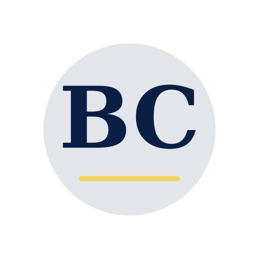 Barnes Chimney Services logo